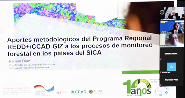 marena-en-seminario-sobre-metodologias-mapeo-de-bosques
